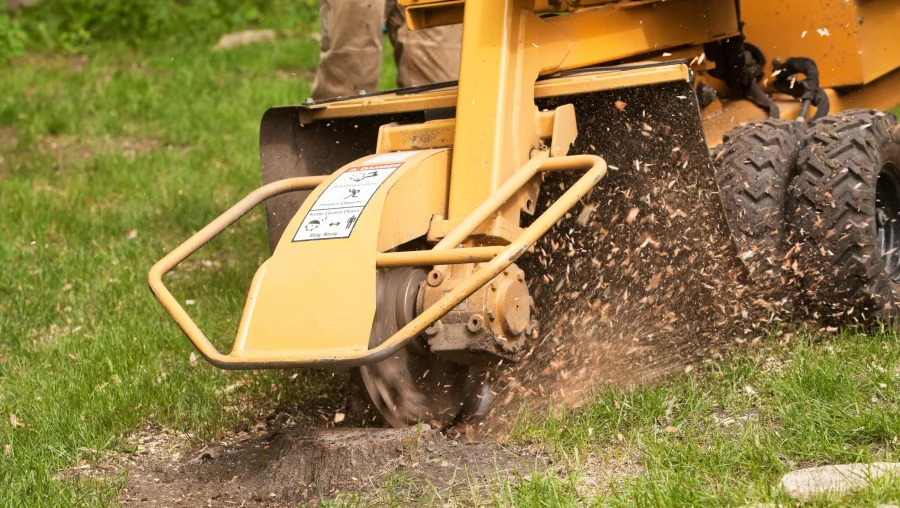 Stump Grinding and Removal Services Stump Grinding and Removal Services